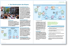 Immunabwehr :: Basisversion :: Grafiken