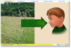Allergie :: Plusversion :: Module