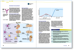 Immunabwehr :: Plusversion :: Grafiken