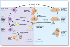 Immunabwehr :: Plusversion :: Folien