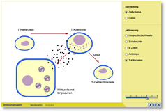 Immunabwehr :: Plusversion :: Module