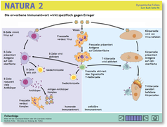 020_natura_immunantwort_plusversion.wmv