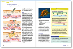 natura_049221_angeborene_immunabwehr.pdf