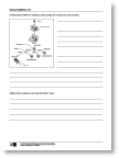immunreaktion_proversion_ab_010_ablauf_diff_2.pdf