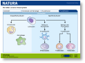 005_natura_zelltypen_basisversion.ppt